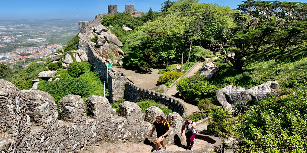 A historic, turreted castle nestled in a European forest