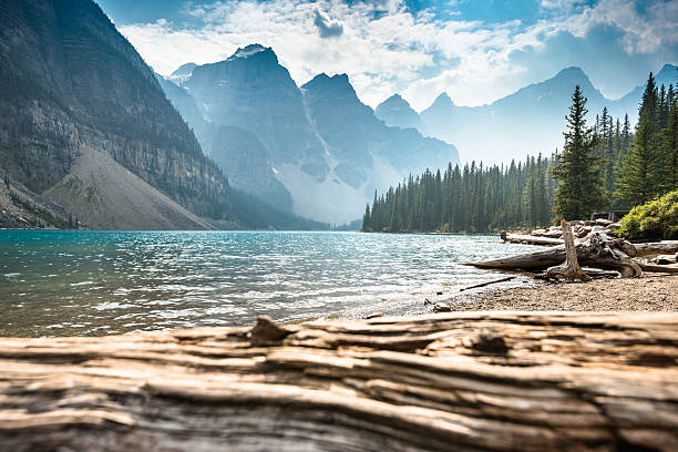 A scenic passenger train passing through the Canadian Rockies landscape